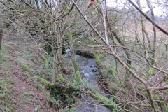 24. Upstream from Liscombe Lower Road (3)