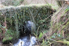 27. Liscombe Lower Road Bridge downstream arch (2)