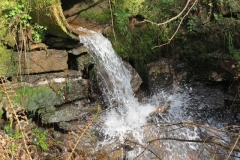 13. Liscombe Lower Road Culvert downstream face (2)