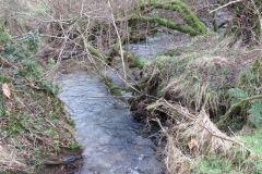 1. Downstream from Liscombe Lower Road (2)