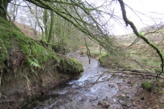 1. Downstream from Liscombe Lower Road (4)
