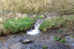 5. Upstream from River Barle Join (1)