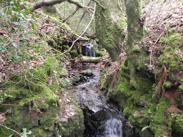 River Aller – Exmoor Waters