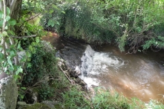 21. Weir downstream from Binham Farm Accommodation Bridge