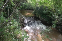 22. Weir downstream from Binham Farm Accommodation Bridge