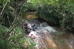 24. Weir downstream from Binham Farm Accommodation Bridge