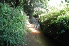 4. Looking downstream from Muddymoor Copse Weir