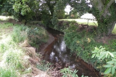 42. Flowing through Home Farm