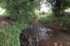 44. Flowing through Pill Copse Caravan Park