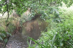 45. Flowing through Pill Copse Caravan Park