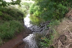 46. Flowing through Pill Copse Caravan Park