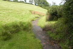 4. Downstream from Rodhuish