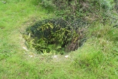 45. Disused Lime Kiln Whitley Brake