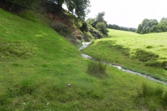 5. Downstream from Rodhuish