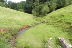 6. Downstream from Rodhuish