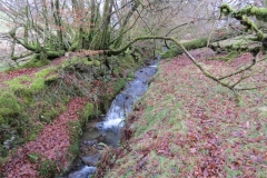 13. Upstream from Higher Spire (1)