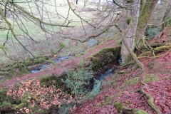 13. Upstream from Higher Spire (10)