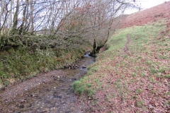 13. Upstream from Higher Spire (14)
