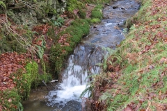 13. Upstream from Higher Spire (2)