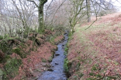 13. Upstream from Higher Spire (5)