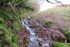 7. Looking upstream to source A (1)