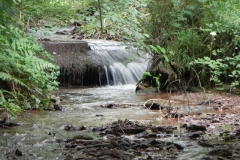 13. Weir ownstream from ROW Bridge 4641