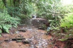 14. Upstream from Bilbrook