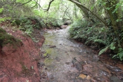 15. Upstream from Bilbrook