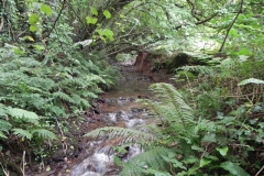 16. Upstream from Bilbrook