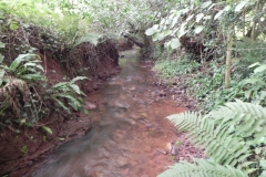 17. Upstream from Bilbrook