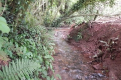 18. Upstream from Bilbrook