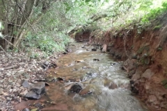 19. Upstream from Bilbrook