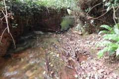 20. Upstream from Bilbrook