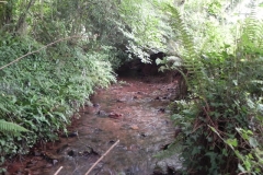 21. Upstream from Bilbrook