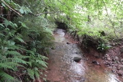 22. Upstream from Bilbrook