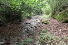 24. Upstream from Bilbrook