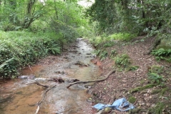 25. Upstream from Bilbrook