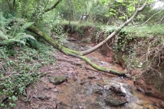 27. Upstream from Bilbrook