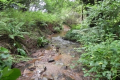 28. Upstream from Bilbrook