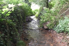 29. Upstream from Bilbrook