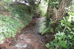 31. Upstream from Bilbrook