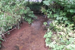 32. Upstream from Bilbrook