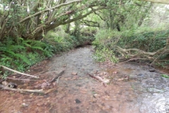 33. Upstream from Bilbrook