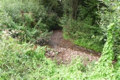 34. Upstream from Bilbrook