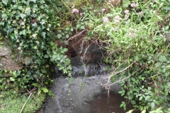 37. Upstream from Bilbrook