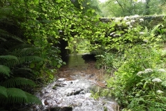 6. ROW Bridge 4641 Downstream Arch