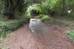 63. Downstream from Black Monkey ROW Bridge 4648