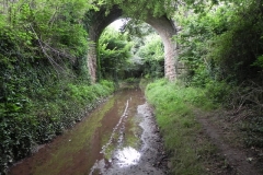 67. Black Monkey Railway Bridge