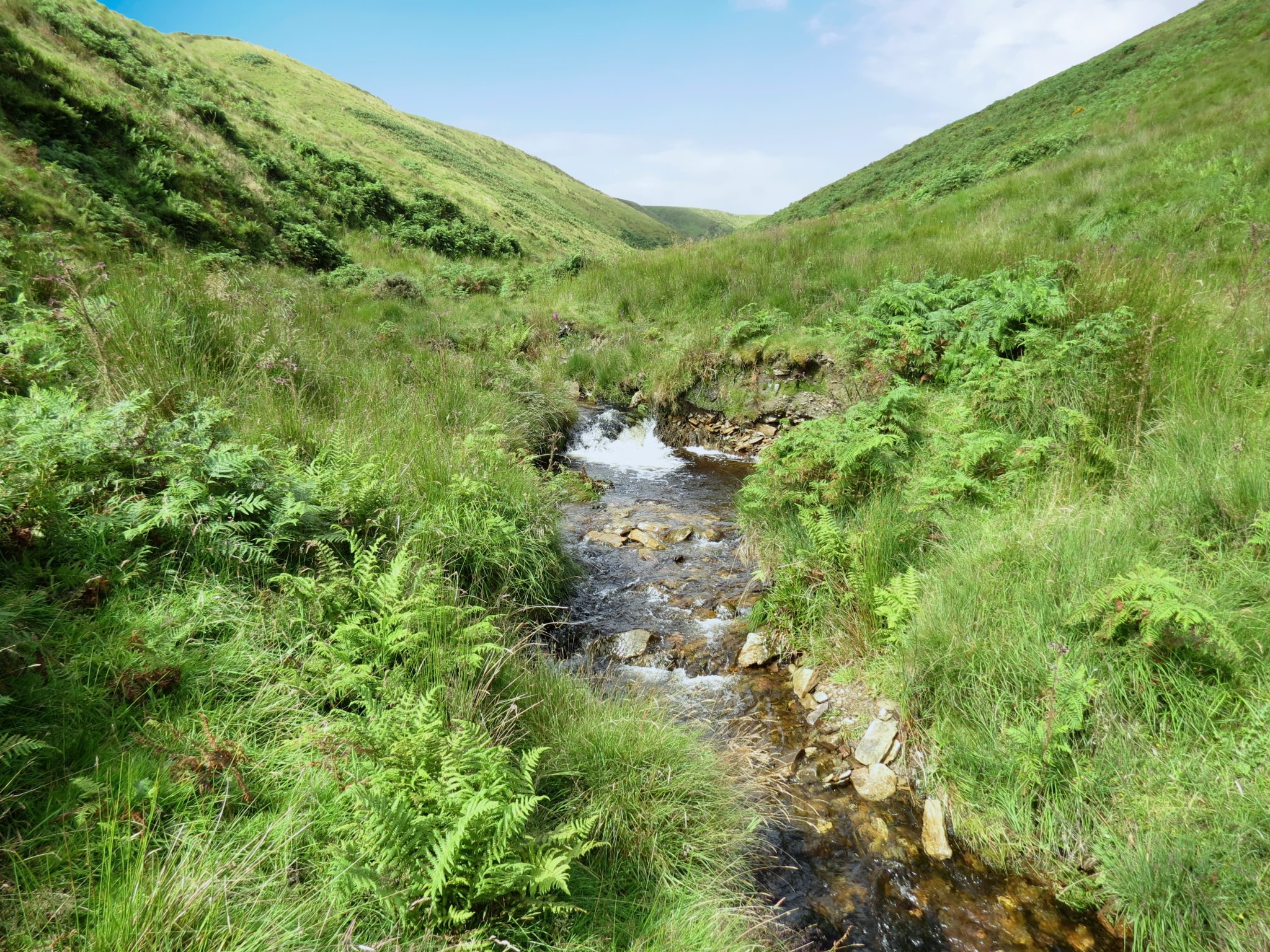 Long Chains Combe - Exmoor Waters and Rivers