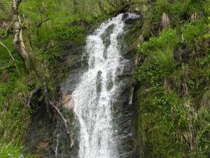 Waterfall River Washford headwaters